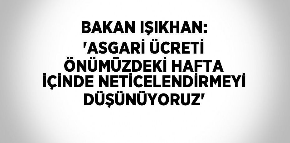 BAKAN IŞIKHAN: 'ASGARİ ÜCRETİ ÖNÜMÜZDEKİ HAFTA İÇİNDE NETİCELENDİRMEYİ DÜŞÜNÜYORUZ'