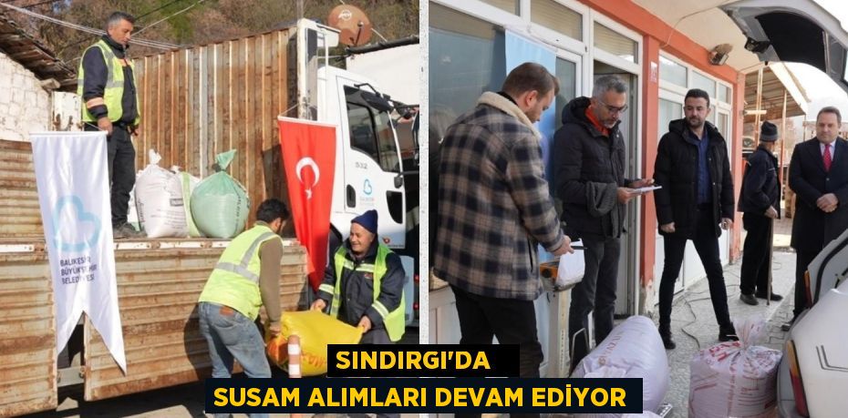 SINDIRGI’DA   SUSAM ALIMLARI DEVAM EDİYOR