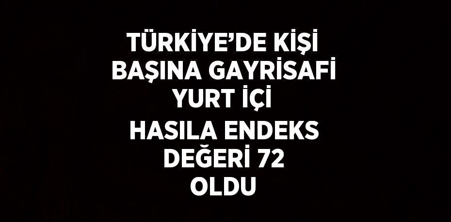 TÜRKİYE’DE KİŞİ BAŞINA GAYRİSAFİ YURT İÇİ HASILA ENDEKS DEĞERİ 72 OLDU