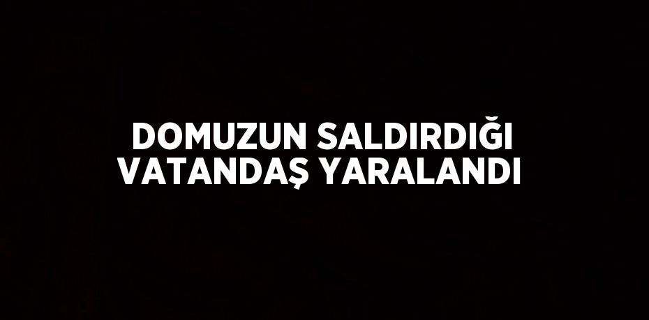 DOMUZUN SALDIRDIĞI VATANDAŞ YARALANDI