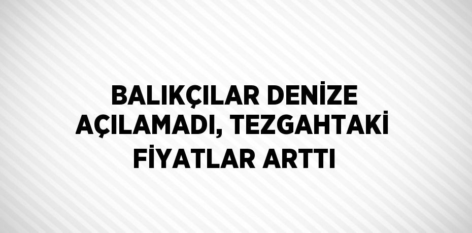 BALIKÇILAR DENİZE AÇILAMADI, TEZGAHTAKİ FİYATLAR ARTTI