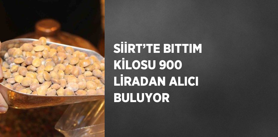 SİİRT’TE BITTIM KİLOSU 900 LİRADAN ALICI BULUYOR