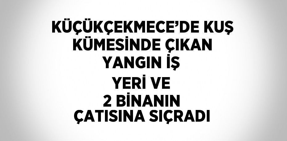 KÜÇÜKÇEKMECE’DE KUŞ KÜMESİNDE ÇIKAN YANGIN İŞ YERİ VE 2 BİNANIN ÇATISINA SIÇRADI