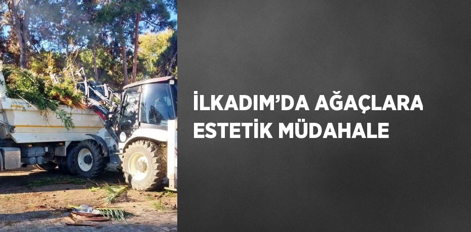 İLKADIM’DA AĞAÇLARA ESTETİK MÜDAHALE