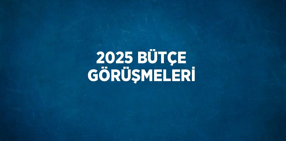 2025 BÜTÇE GÖRÜŞMELERİ