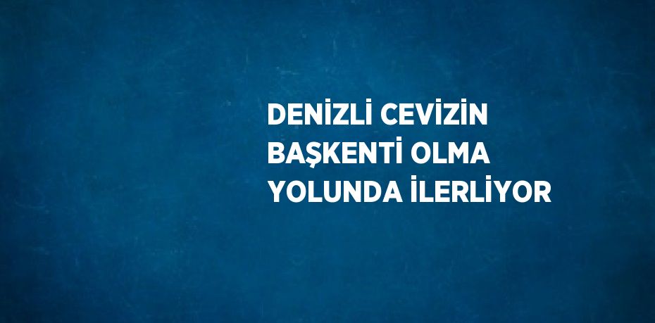 DENİZLİ CEVİZİN BAŞKENTİ OLMA YOLUNDA İLERLİYOR