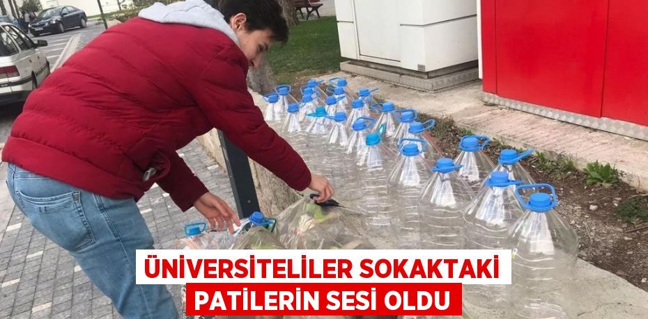 ÜNİVERSİTELİLER SOKAKTAKİ PATİLERİN SESİ OLDU