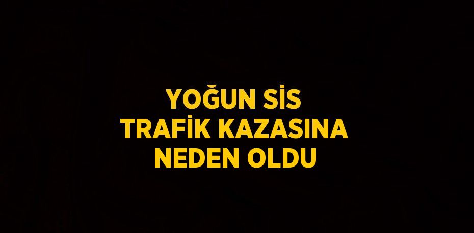 YOĞUN SİS TRAFİK KAZASINA NEDEN OLDU