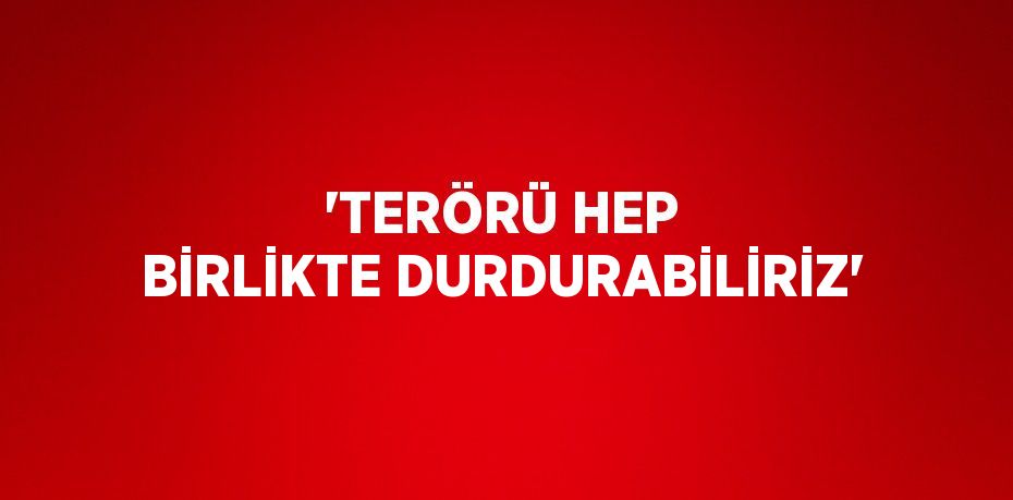 'TERÖRÜ HEP BİRLİKTE DURDURABİLİRİZ'