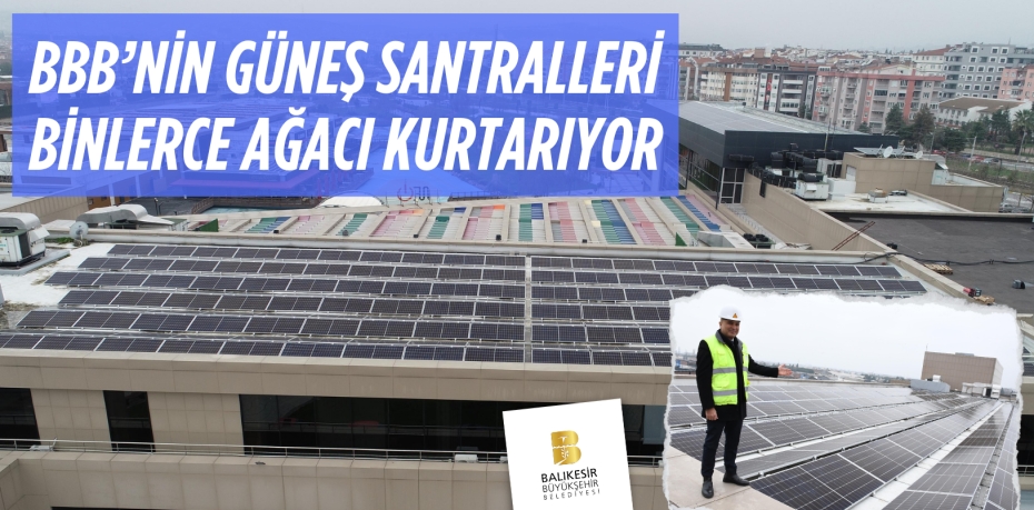 BBB’NİN GÜNEŞ SANTRALLERİ BİNLERCE AĞACI KURTARIYOR