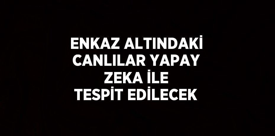 ENKAZ ALTINDAKİ CANLILAR YAPAY ZEKA İLE TESPİT EDİLECEK