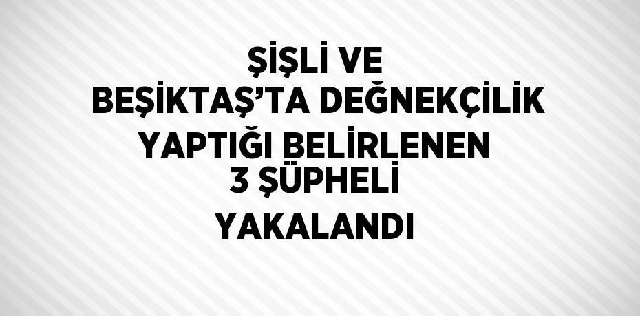 ŞİŞLİ VE BEŞİKTAŞ’TA DEĞNEKÇİLİK YAPTIĞI BELİRLENEN 3 ŞÜPHELİ YAKALANDI