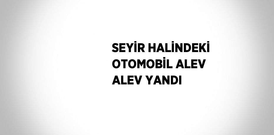 SEYİR HALİNDEKİ OTOMOBİL ALEV ALEV YANDI