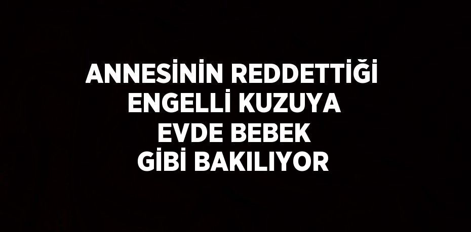 ANNESİNİN REDDETTİĞİ ENGELLİ KUZUYA EVDE BEBEK GİBİ BAKILIYOR