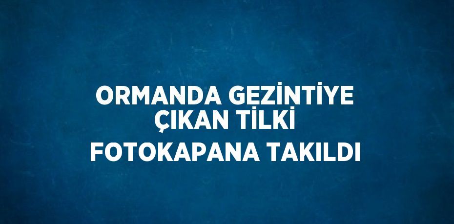 ORMANDA GEZİNTİYE ÇIKAN TİLKİ FOTOKAPANA TAKILDI