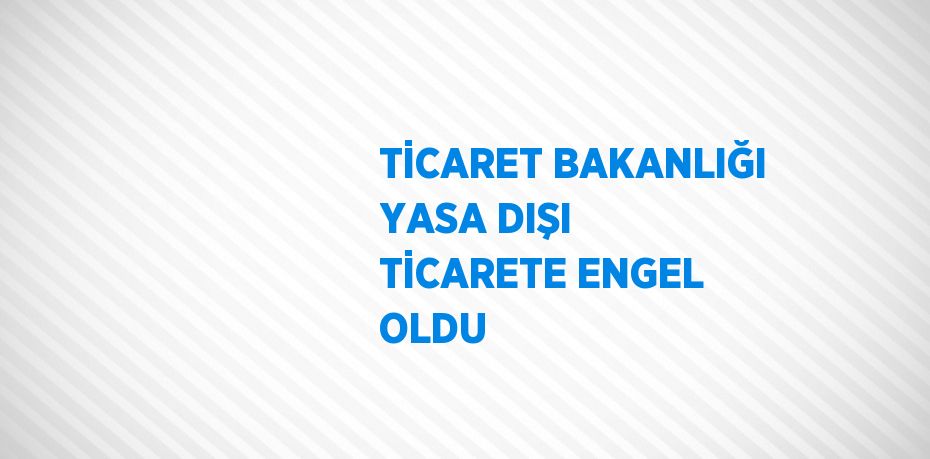 TİCARET BAKANLIĞI YASA DIŞI TİCARETE ENGEL OLDU