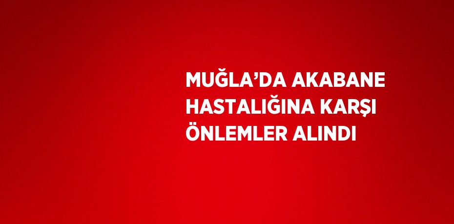 MUĞLA’DA AKABANE HASTALIĞINA KARŞI ÖNLEMLER ALINDI