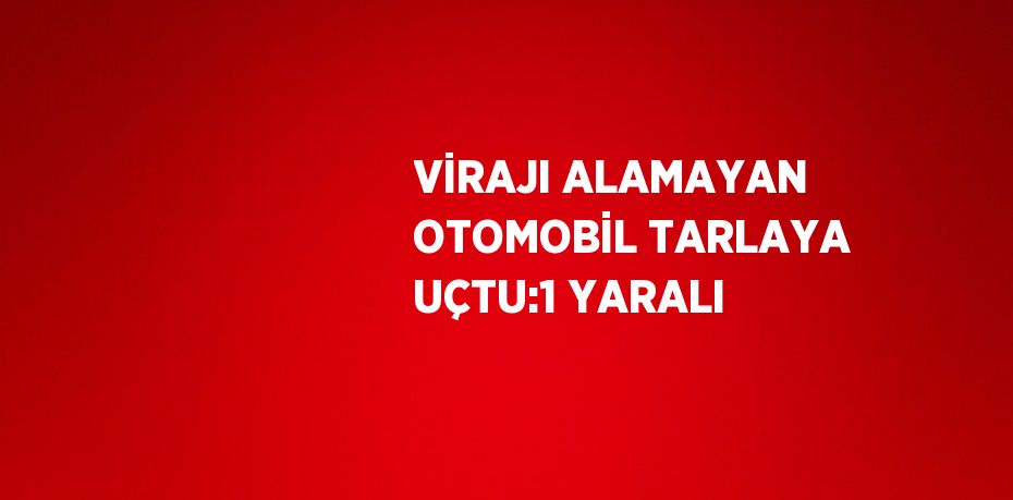 VİRAJI ALAMAYAN OTOMOBİL TARLAYA UÇTU:1 YARALI