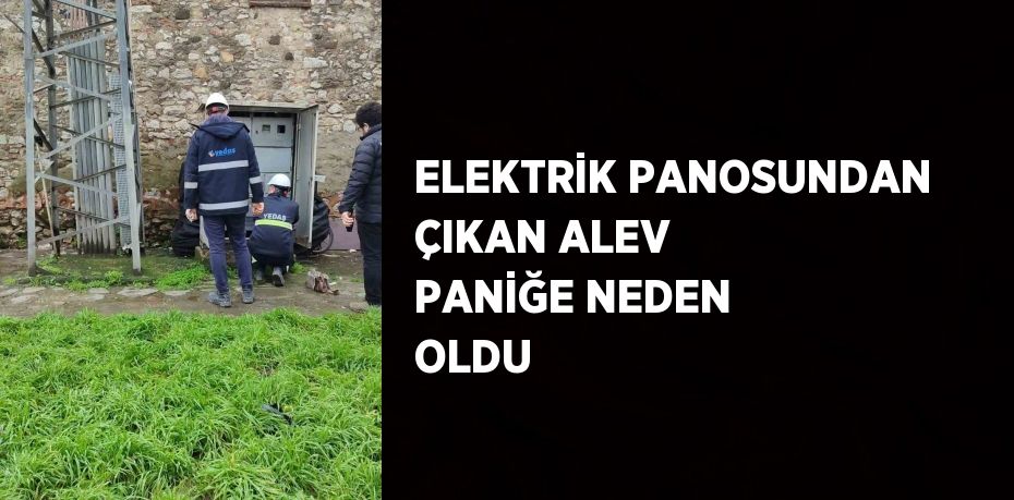 ELEKTRİK PANOSUNDAN ÇIKAN ALEV PANİĞE NEDEN OLDU