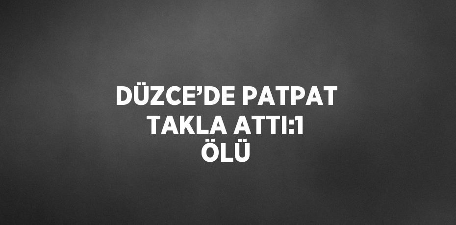 DÜZCE’DE PATPAT TAKLA ATTI:1 ÖLÜ