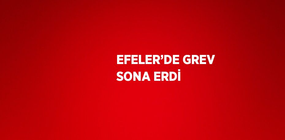 EFELER’DE GREV SONA ERDİ