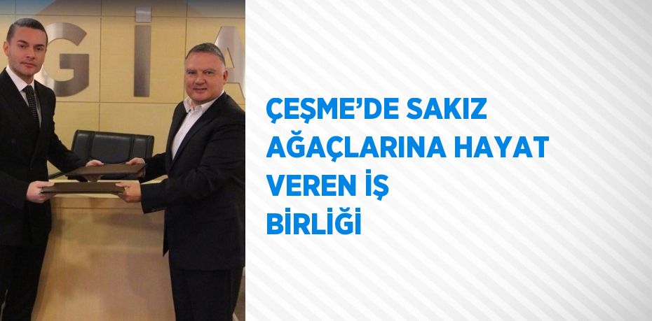 ÇEŞME’DE SAKIZ AĞAÇLARINA HAYAT VEREN İŞ BİRLİĞİ