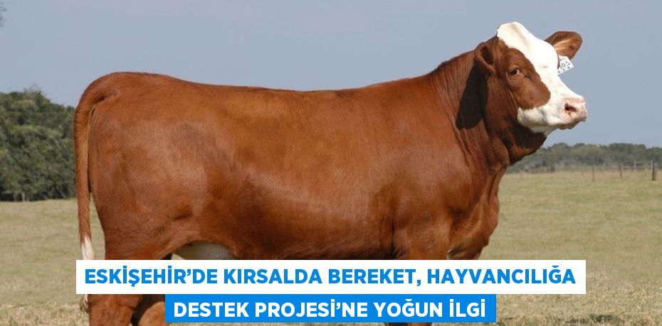 ESKİŞEHİR’DE KIRSALDA BEREKET, HAYVANCILIĞA DESTEK PROJESİ’NE YOĞUN İLGİ