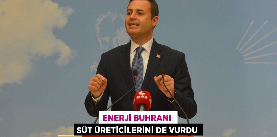 ENERJİ BUHRANI  SÜT ÜRETİCİLERİNİ DE VURDU