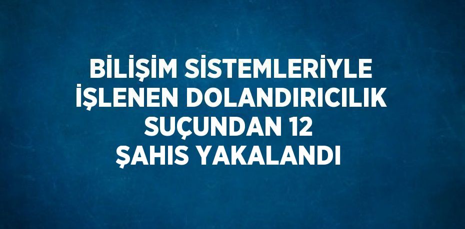 BİLİŞİM SİSTEMLERİYLE İŞLENEN DOLANDIRICILIK SUÇUNDAN 12 ŞAHIS YAKALANDI