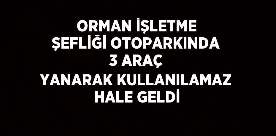 ORMAN İŞLETME ŞEFLİĞİ OTOPARKINDA 3 ARAÇ YANARAK KULLANILAMAZ HALE GELDİ