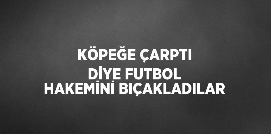 KÖPEĞE ÇARPTI DİYE FUTBOL HAKEMİNİ BIÇAKLADILAR