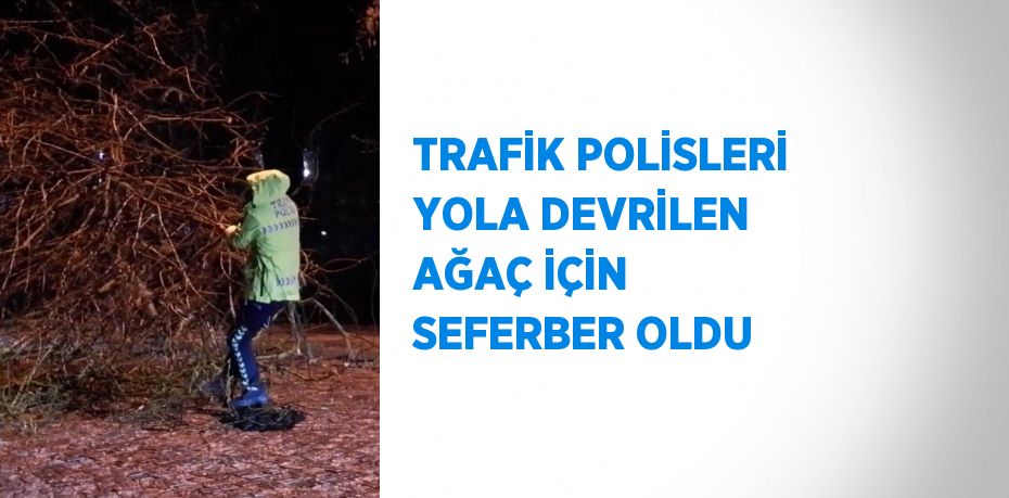 TRAFİK POLİSLERİ YOLA DEVRİLEN AĞAÇ İÇİN SEFERBER OLDU