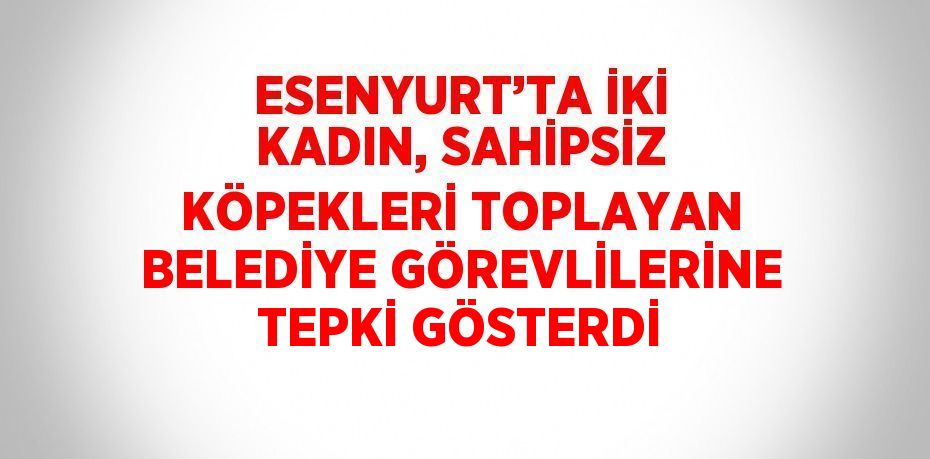 ESENYURT’TA İKİ KADIN, SAHİPSİZ KÖPEKLERİ TOPLAYAN BELEDİYE GÖREVLİLERİNE TEPKİ GÖSTERDİ