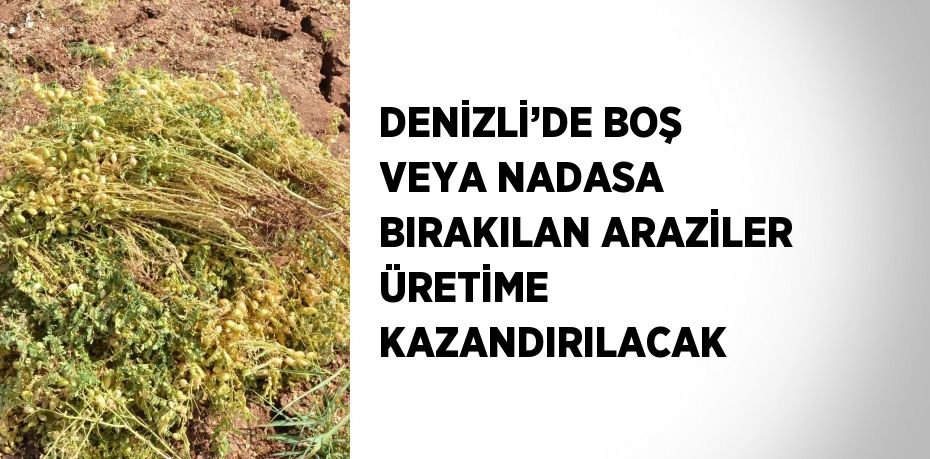 DENİZLİ’DE BOŞ VEYA NADASA BIRAKILAN ARAZİLER ÜRETİME KAZANDIRILACAK