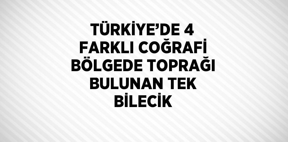 TÜRKİYE’DE 4 FARKLI COĞRAFİ BÖLGEDE TOPRAĞI BULUNAN TEK BİLECİK