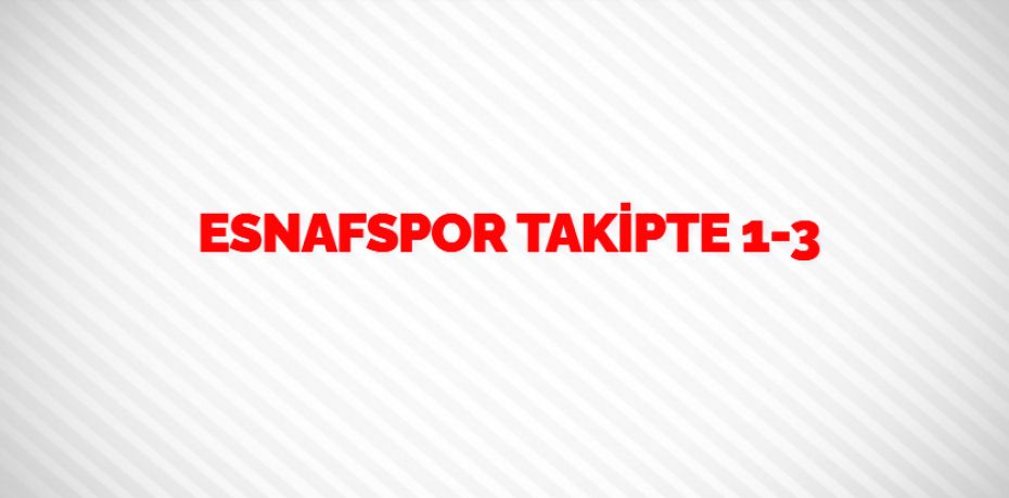 ESNAFSPOR TAKİPTE     1-3