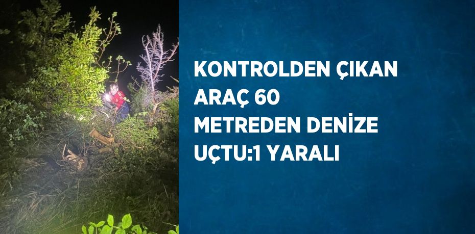 KONTROLDEN ÇIKAN ARAÇ 60 METREDEN DENİZE UÇTU:1 YARALI