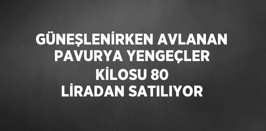 GÜNEŞLENİRKEN AVLANAN PAVURYA YENGEÇLER KİLOSU 80 LİRADAN SATILIYOR