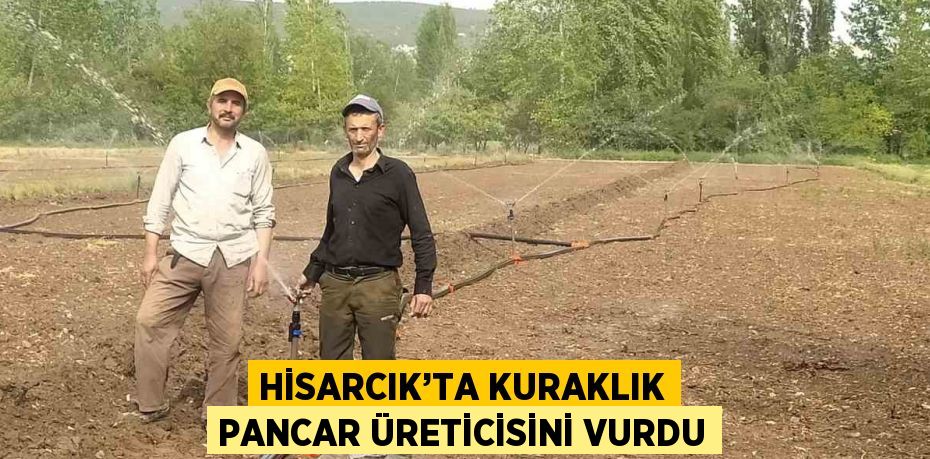 HİSARCIK’TA KURAKLIK PANCAR ÜRETİCİSİNİ VURDU