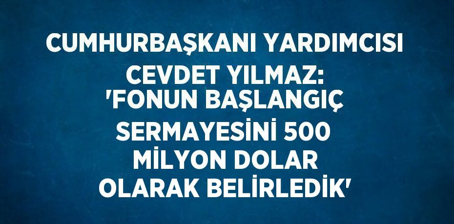 CUMHURBAŞKANI YARDIMCISI CEVDET YILMAZ: 'FONUN BAŞLANGIÇ SERMAYESİNİ 500 MİLYON DOLAR OLARAK BELİRLEDİK'