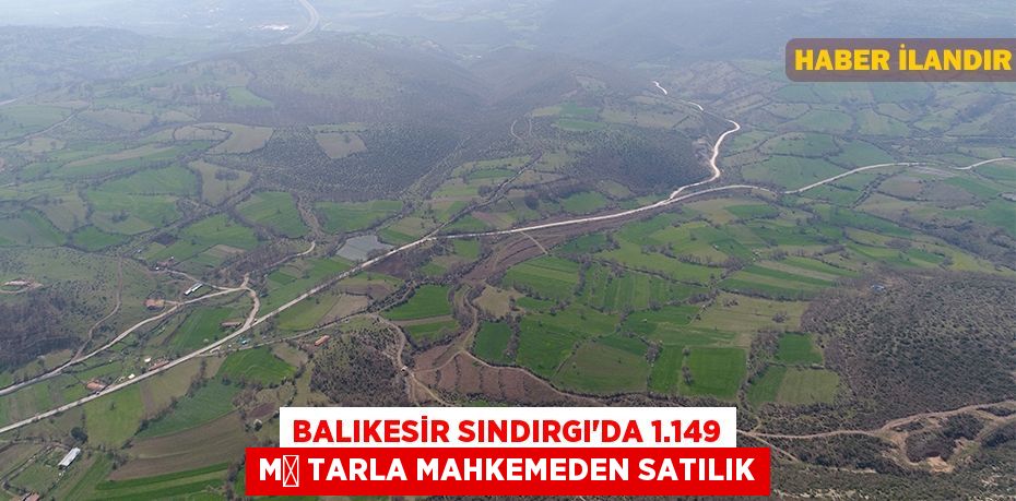 Balıkesir Sındırgı'da 1.149 m² tarla mahkemeden satılık