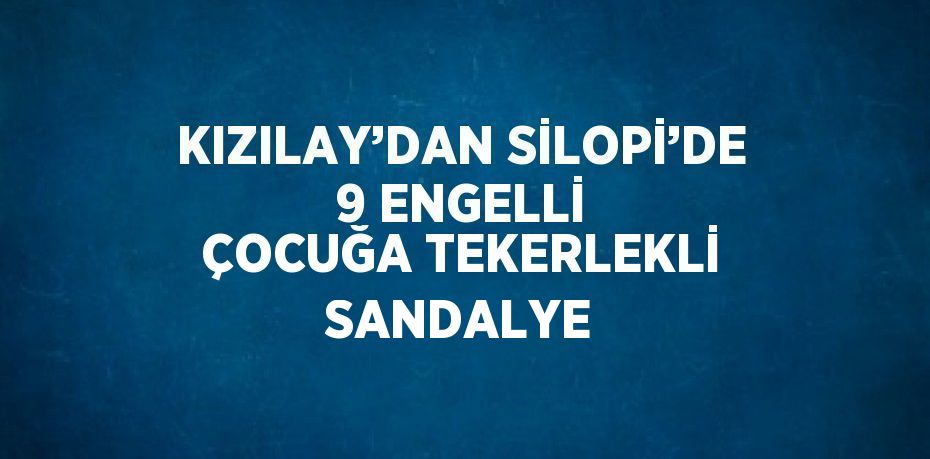 KIZILAY’DAN SİLOPİ’DE 9 ENGELLİ ÇOCUĞA TEKERLEKLİ SANDALYE