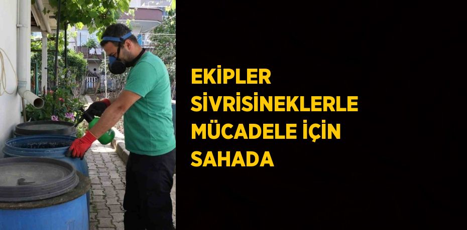 EKİPLER SİVRİSİNEKLERLE MÜCADELE İÇİN SAHADA