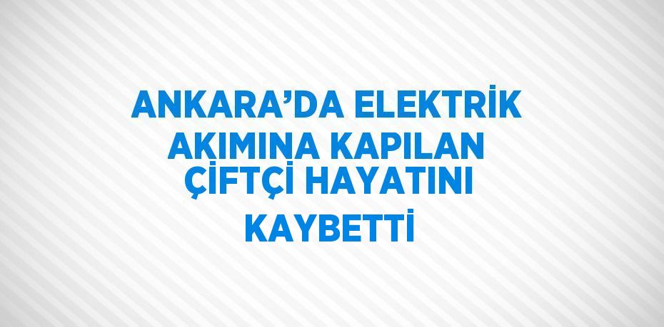 ANKARA’DA ELEKTRİK AKIMINA KAPILAN ÇİFTÇİ HAYATINI KAYBETTİ