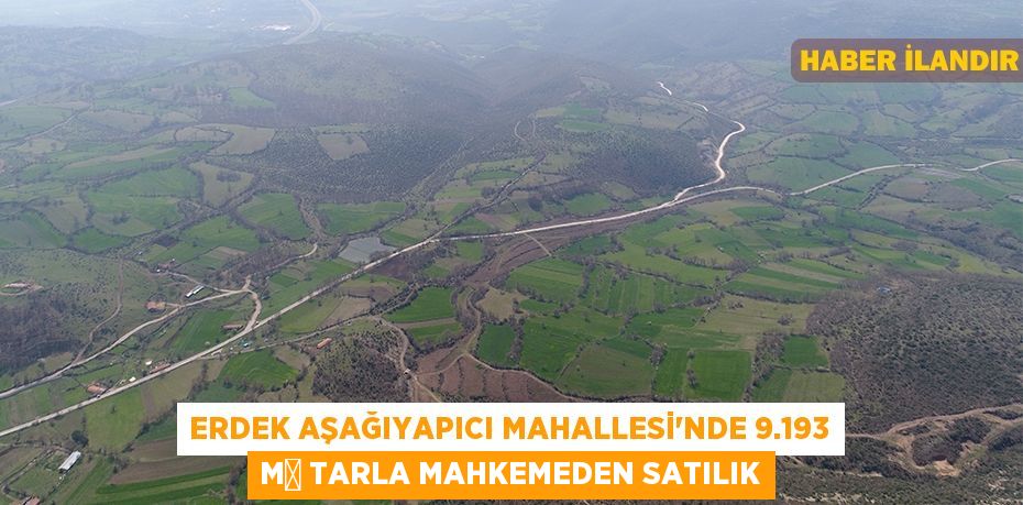 Erdek Aşağıyapıcı Mahallesi'nde 9.193 m² tarla mahkemeden satılık