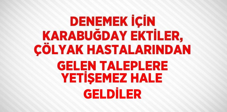 DENEMEK İÇİN KARABUĞDAY EKTİLER, ÇÖLYAK HASTALARINDAN GELEN TALEPLERE YETİŞEMEZ HALE GELDİLER