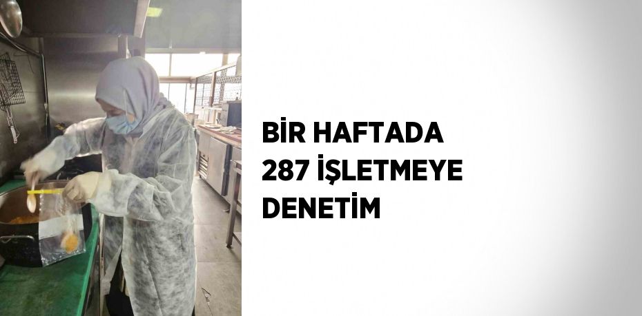 BİR HAFTADA 287 İŞLETMEYE DENETİM
