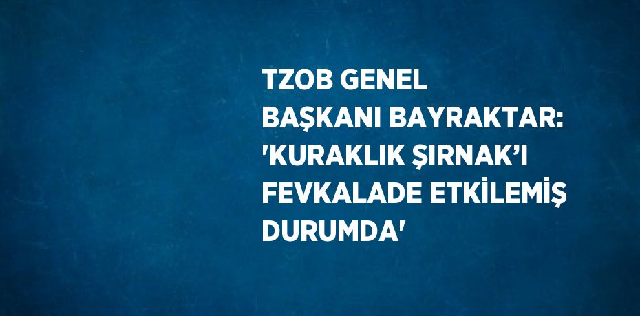TZOB GENEL BAŞKANI BAYRAKTAR: 'KURAKLIK ŞIRNAK’I FEVKALADE ETKİLEMİŞ DURUMDA'