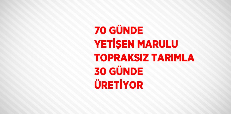 70 GÜNDE YETİŞEN MARULU TOPRAKSIZ TARIMLA 30 GÜNDE ÜRETİYOR