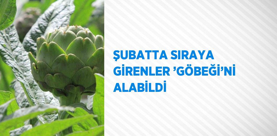 ŞUBATTA SIRAYA GİRENLER ’GÖBEĞİ’Nİ ALABİLDİ